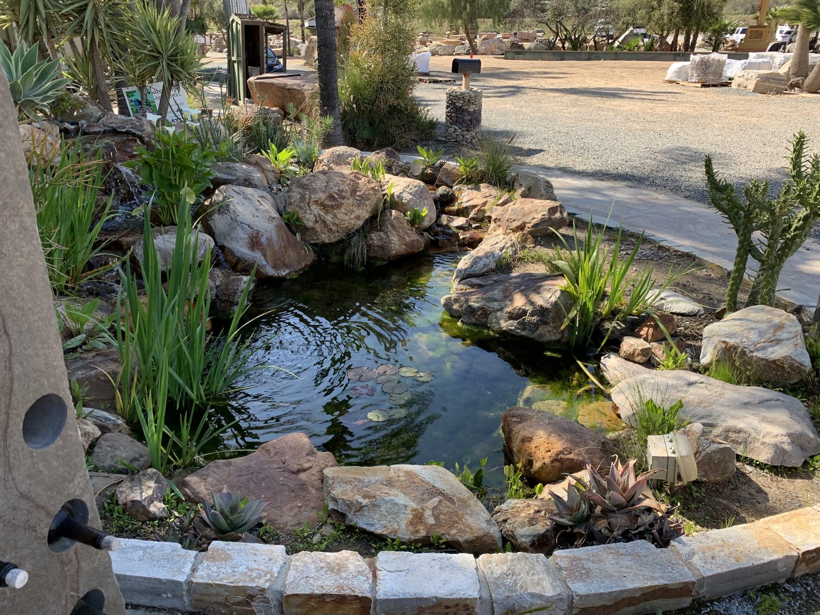 Mesa Ecosystem Pond